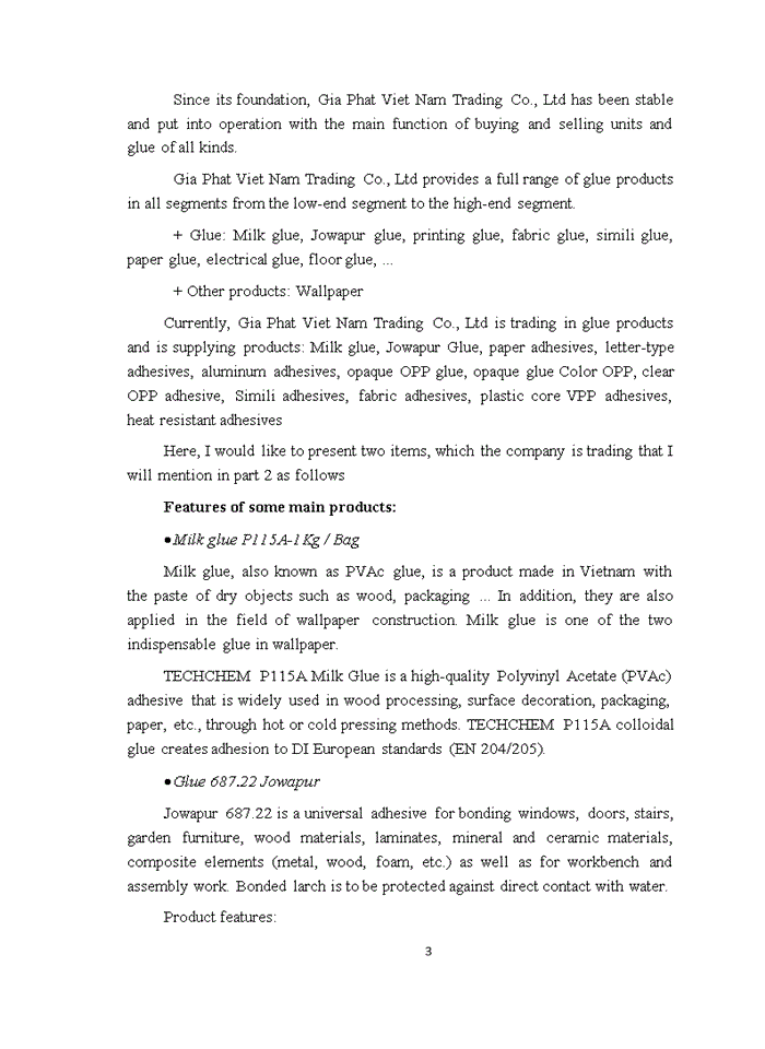 image for page ACCOUNTING PROCEDURES FOR SALES AT GIA PHAT VIETNAM TRADING CO LTD