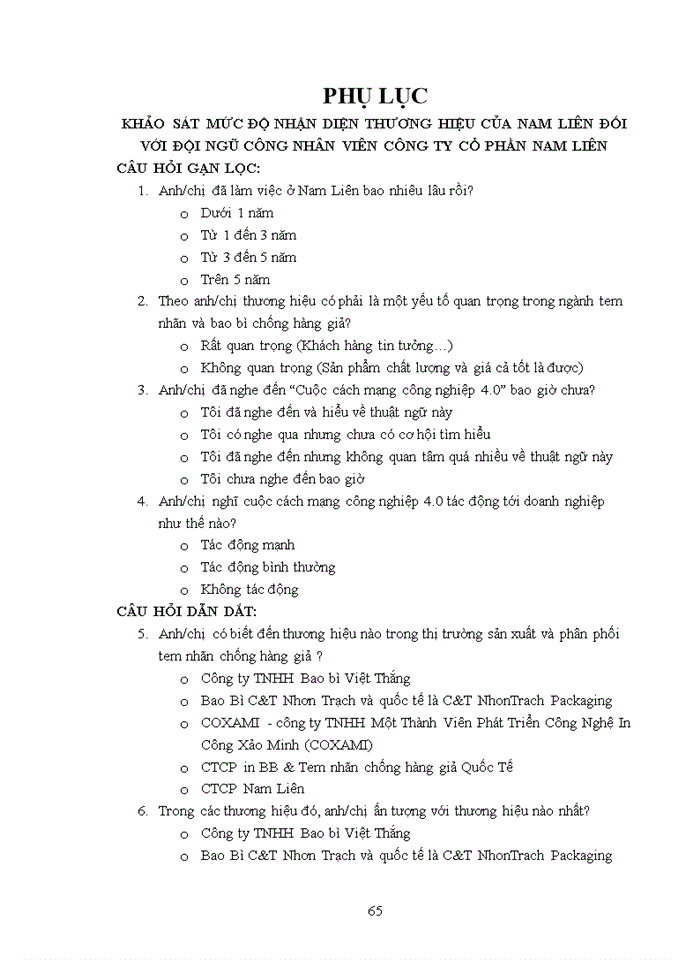 image for page HOẠCH ĐỊNH CHIẾN LƯỢC PHÁT TRIỂN THƯƠNG HIỆU CHO CÔNG TY CỔ PHẦN NAM LIÊN TRONG BỐI CẢNH CUỘC CÁCH MẠNG CÔNG NGHIỆP 4 0 Ở VIỆT NAM