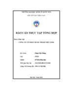 Tổ chức bộ máy kế toán và hệ thống kế toán tại công ty cổ phần dược phẩm việt linh