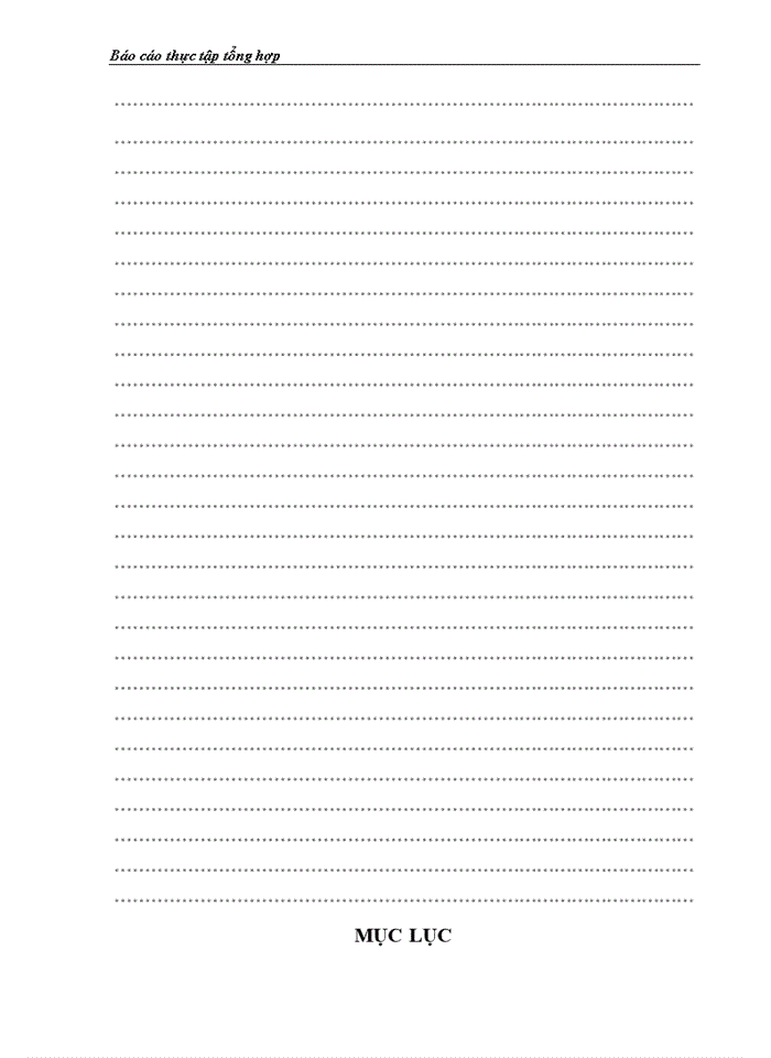 image for page Các lĩnh vực kinh doanh chủ yếu của Công ty Cổ phần Du lịch và Dịch vụ Hồng Gai.