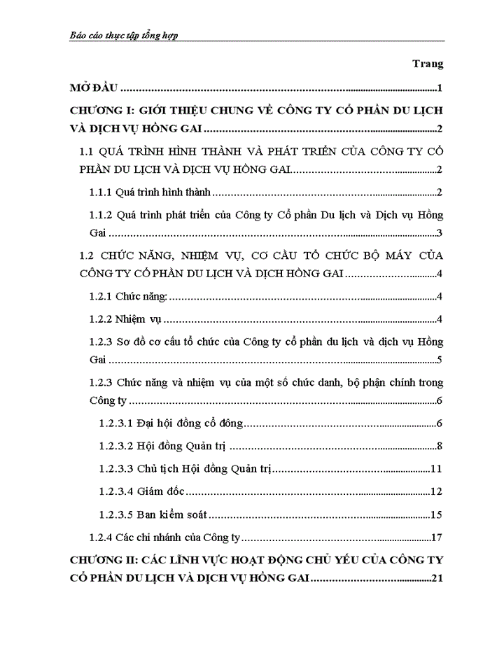 image for page Các lĩnh vực kinh doanh chủ yếu của Công ty Cổ phần Du lịch và Dịch vụ Hồng Gai.