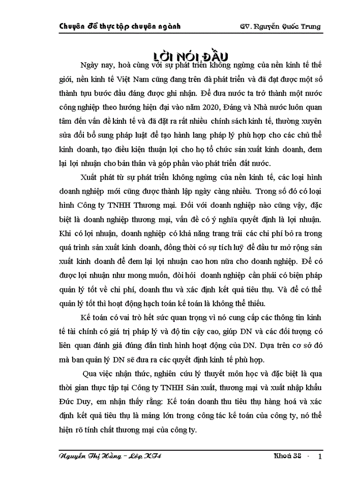 image for page Hoàn thiện kế toán tiêu thụ hàng hoá và xác định kết quả tiêu thụ hàng hoá tại Công ty TNHH SX-TM & XNK Đức Duy