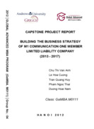 Building the business strategy of m1 communication one member limited liability company (2013 - 2017)