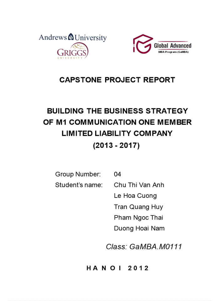 Building the business strategy of m1 communication one member limited liability company (2013 - 2017)