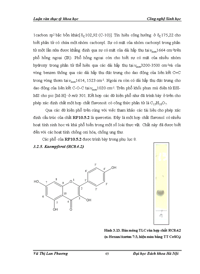 image for page Nghiên cứu phương pháp chiết tách một số hoạt chất từ cây chút chít  (rumex crispus l.) và thử nghiệm sản phẩm tách chiết theo hướng  bảo vệ thực vật