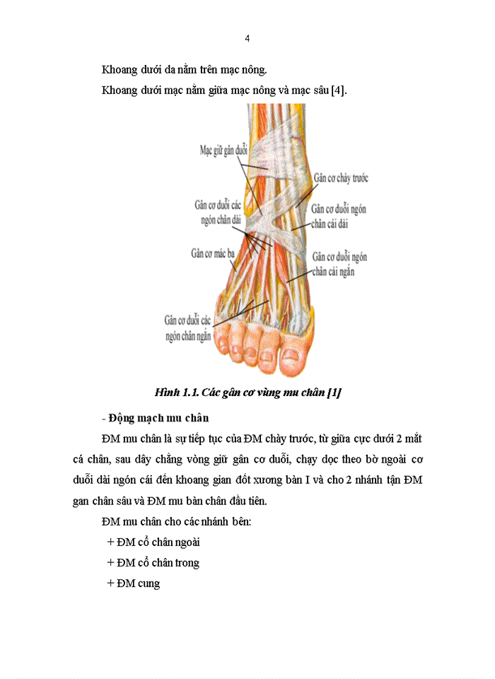 image for page Khảo sát thực trạng sử dụng thuốc điều trị đái tháo đường typ 2 tại khoa nội tiết và đái tháo đường bệnh viện bạch mai