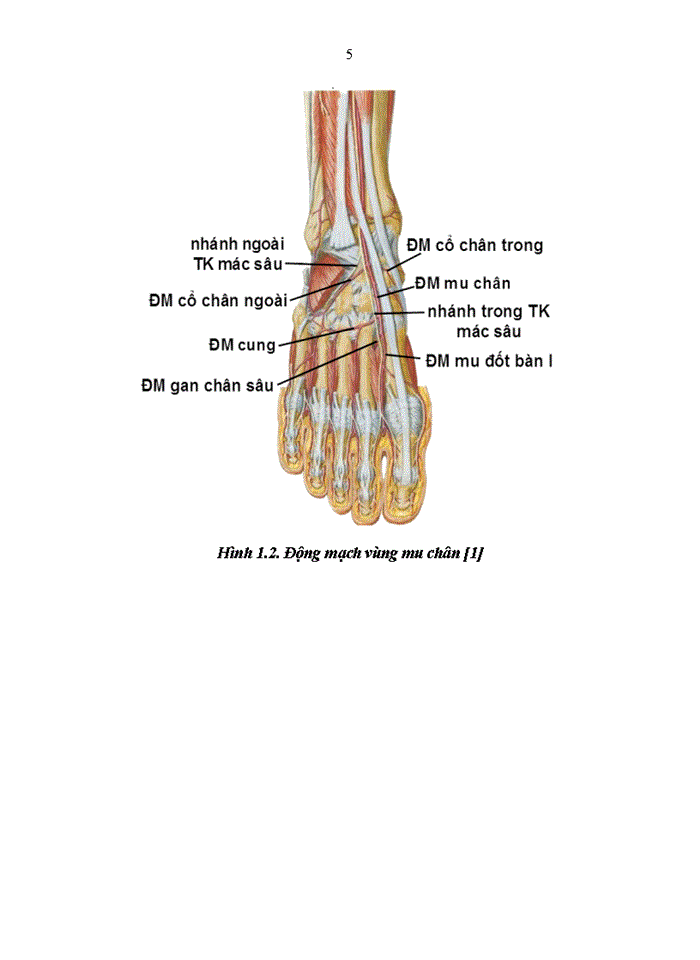 image for page Khảo sát thực trạng sử dụng thuốc điều trị đái tháo đường typ 2 tại khoa nội tiết và đái tháo đường bệnh viện bạch mai