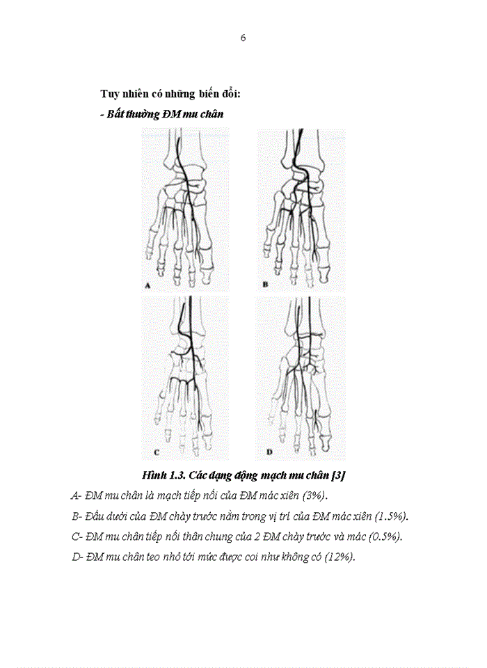 image for page Khảo sát thực trạng sử dụng thuốc điều trị đái tháo đường typ 2 tại khoa nội tiết và đái tháo đường bệnh viện bạch mai