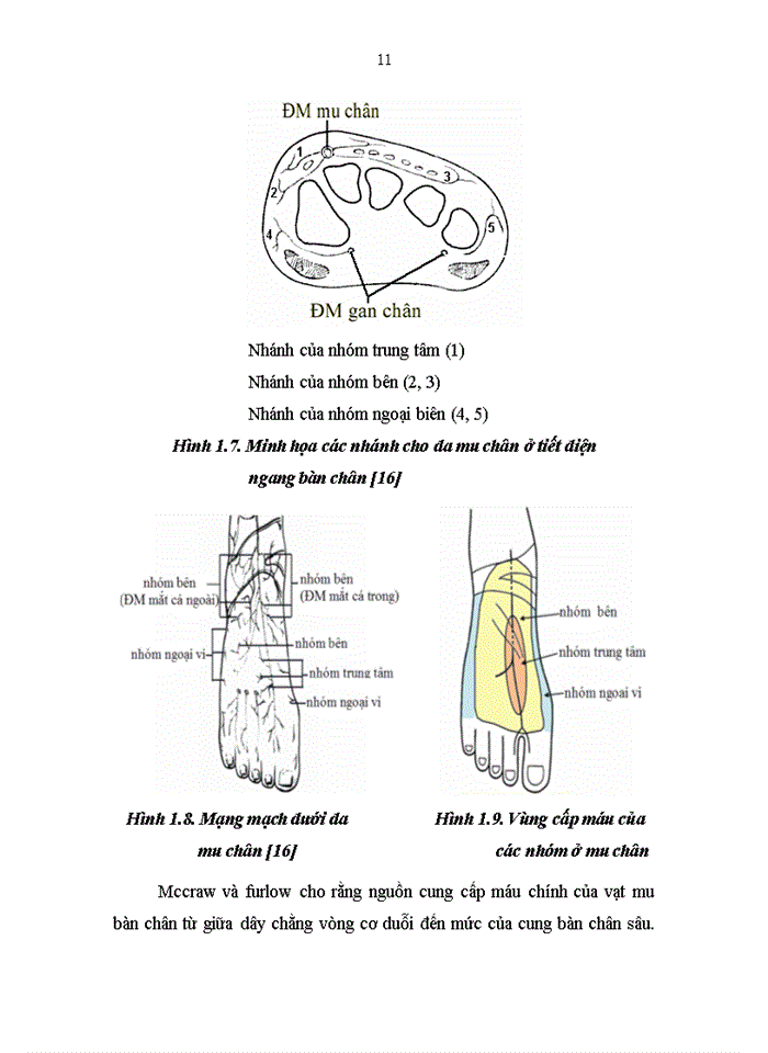 image for page Khảo sát thực trạng sử dụng thuốc điều trị đái tháo đường typ 2 tại khoa nội tiết và đái tháo đường bệnh viện bạch mai