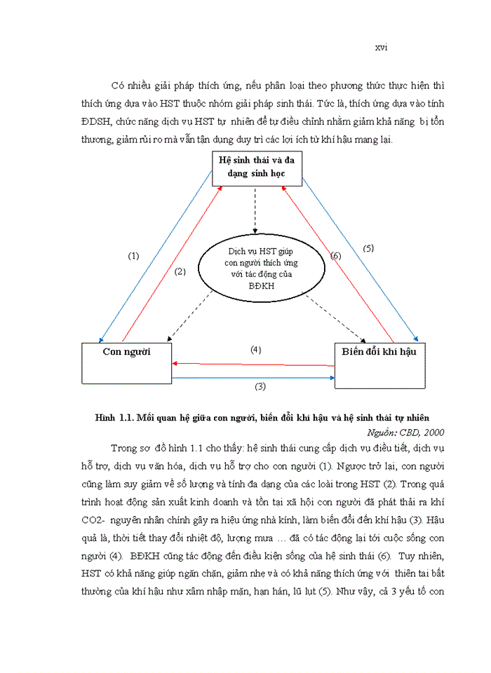 image for page Tiếp cận dựa vào hệ sinh thái ven biển nhằm thích ứng với biến đổi khí hậu tại huyện tiên yên, tỉnh quảng ninh