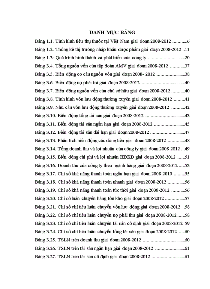 image for page Phân tích hoạt động kinh doanh của Tập đoàn Y tế AMV giai đoạn 2008- 2012"