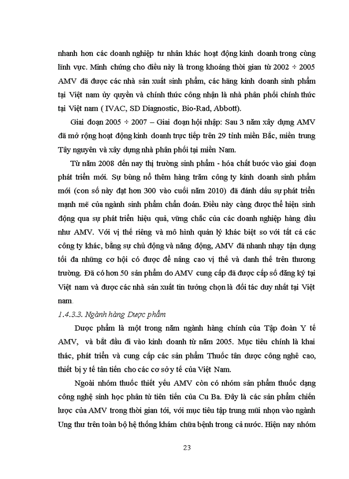 image for page Phân tích hoạt động kinh doanh của Tập đoàn Y tế AMV giai đoạn 2008- 2012"