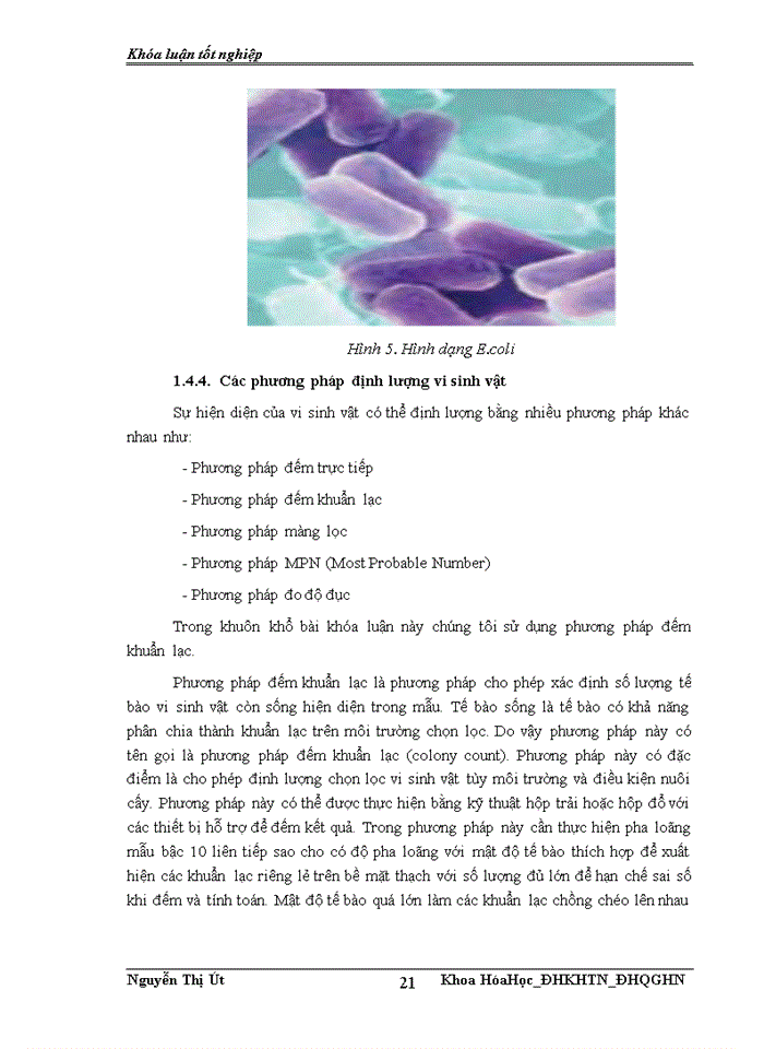 image for page Nghiên cứu điều chế dung dịch Ag nano mật độ cao và khảo sát khả năng diệt khuẩn của chúng