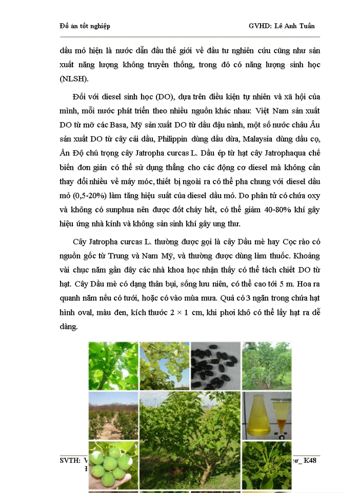 image for page Sử dụng nhiên liệu sinh học Biodiesel làm từ dầu cá