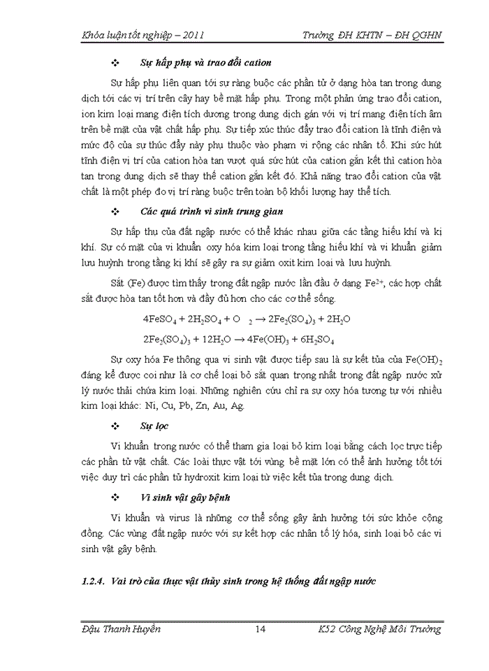 image for page Đánh giá khả năng xử lý nước sông Tô Lịch của hệ thống đất ngập nước trồng cây sậy và cây cỏ lồng vực để làm nước tưới rau