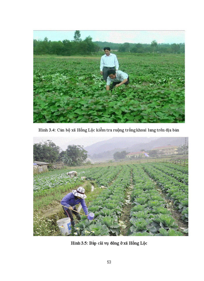 image for page Đánh giá hiệu quả và định hướng sử dụng đất sản xuất nông nghiệp của xã Hồng Lộc, huyện Lộc Hà, tỉnh Hà Tĩnh