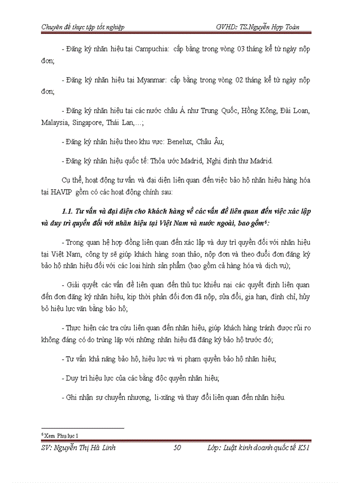 image for page Pháp luật về bảo hộ và thực thi quyền sở hữu trí tuệ đối với nhãn hiệu hàng hóa và thực tiễn áp dụng tại công ty trách nhiệm hữu hạn sở hữu trí tuệ HAVIP
