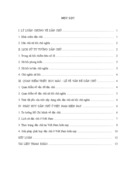 Nền dân chủ xã hội chủ nghĩa