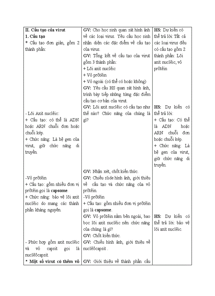 image for page Cấu trúc các loại virut