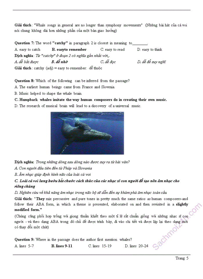 image for page Tổng hợp đề thi thử tiếng anh