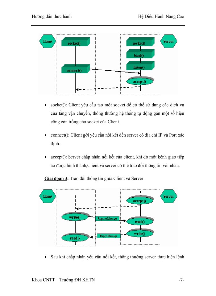 image for page Csocket