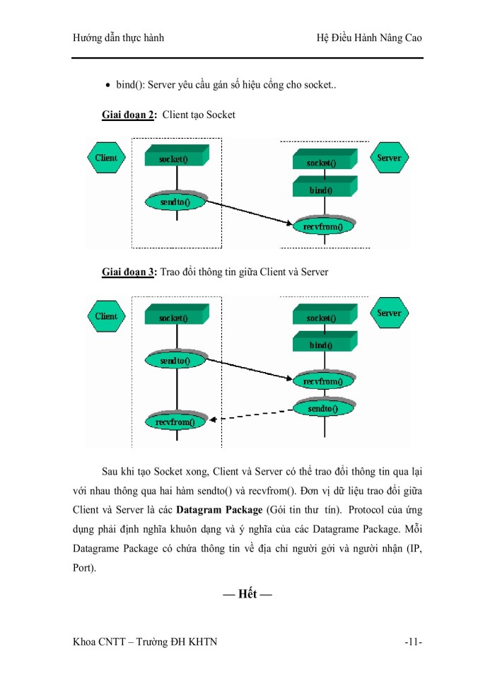 image for page Csocket