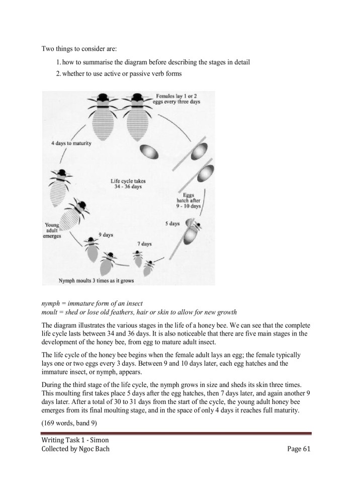 image for page IELTS Writing Task 1 Simon