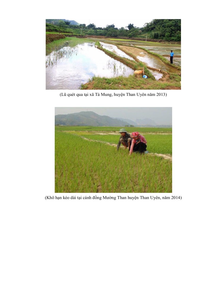 image for page Tác động của biến đổi khí hậu đến cây trồng chính tại huyện than uyên, tỉnh lai châu