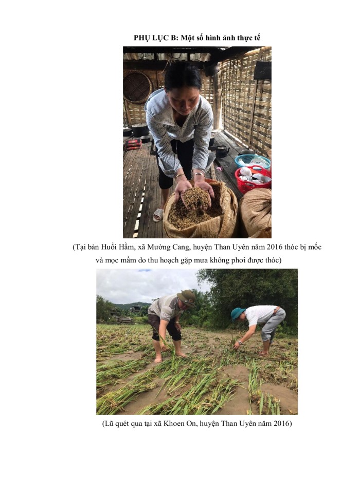 image for page Tác động của biến đổi khí hậu đến cây trồng chính tại huyện than uyên, tỉnh lai châu