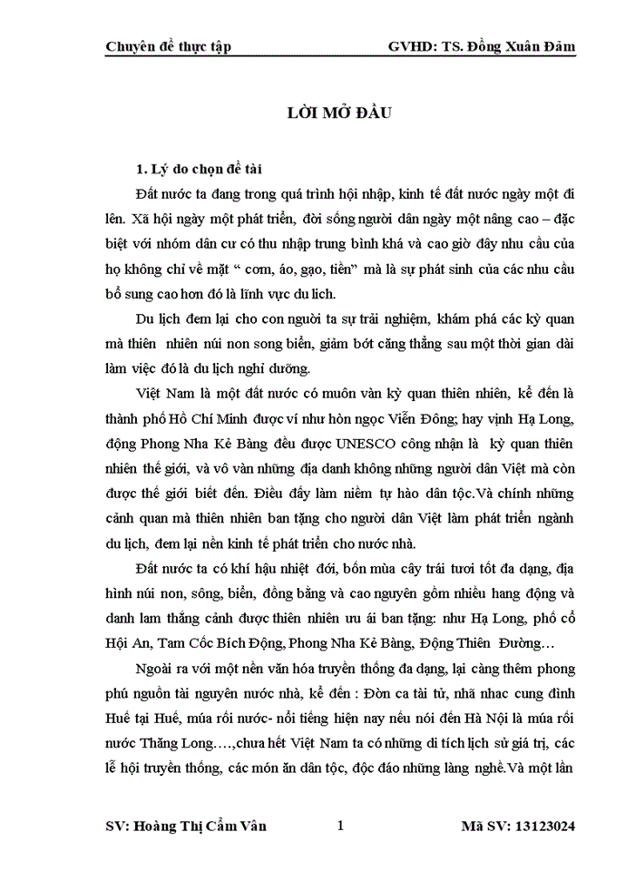 image for page Thực trạng hoạt động kinh doanh lữ hành và giải pháp nhằm nâng cao hoạt động kinh doanh tại phòng Tour khách sạn Hòa Bình Palace - thuộc công ty CP Cơ Điện Đại Nam