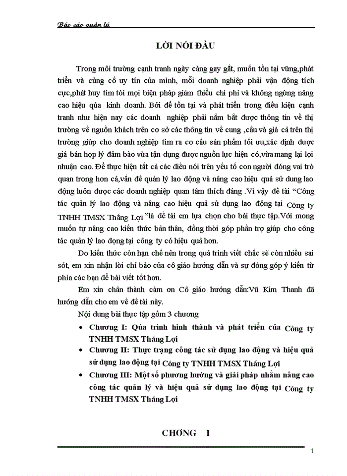 Thực trạng công tác sử dụng lao động và hiệu quả sử dụng lao động tại Công ty TNHH TMSX Thắng Lợi