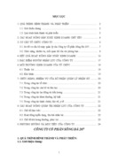 Công ty cổ phần sông ĐÀ 207