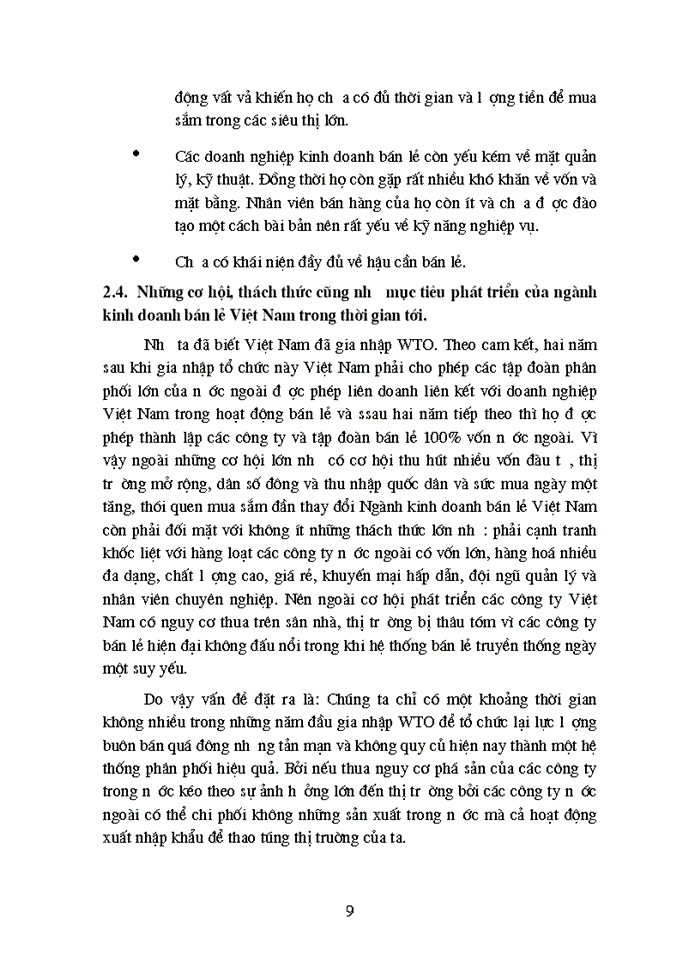 image for page Vận dụng quan diểm toàn diện vào việc tìm hiểu sự phát triển của hoạt động kinh doanh bán lẻ ở việt nam sau khi gia nhập WTO
