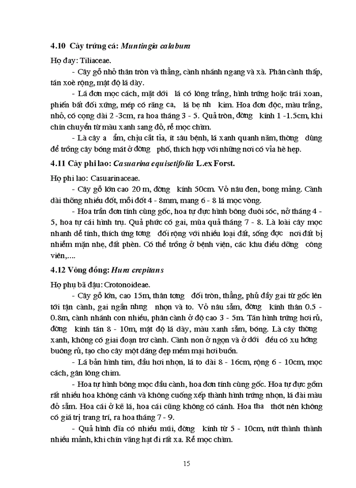 image for page Đánh giá và xếp loại một số loài cây trồng thường gặp trên đường phố tại thành phố Hạ Long
