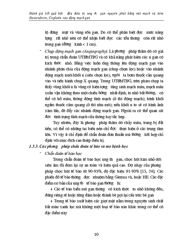 image for page Đánh giá kết quả bước đầu điều trị ung thư gan nguyên phát bằng nút mạch và tiêm Doxorubicin, Cisplatin vào động mạch gan