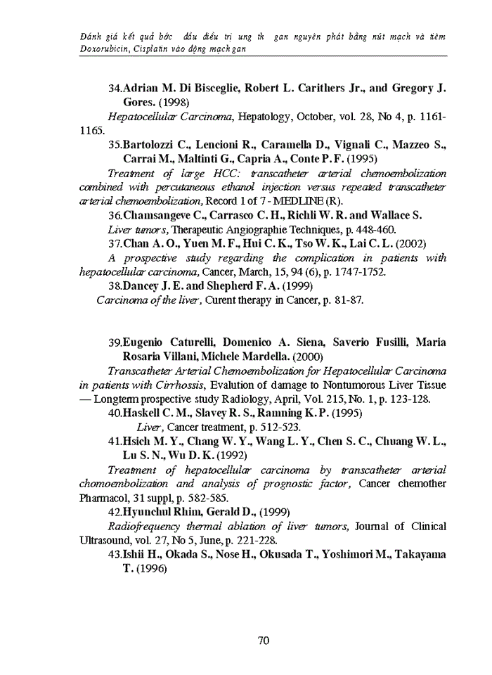 image for page Đánh giá kết quả bước đầu điều trị ung thư gan nguyên phát bằng nút mạch và tiêm Doxorubicin, Cisplatin vào động mạch gan