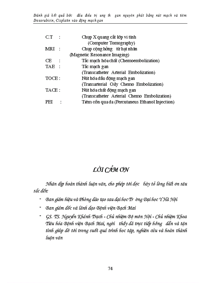 image for page Đánh giá kết quả bước đầu điều trị ung thư gan nguyên phát bằng nút mạch và tiêm Doxorubicin, Cisplatin vào động mạch gan