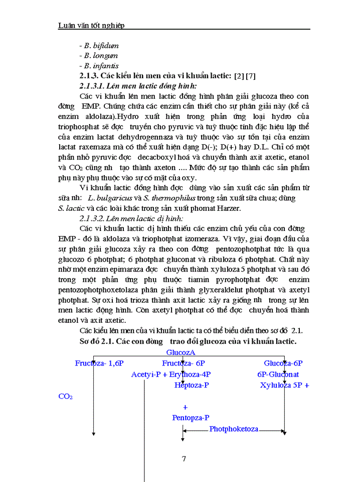 image for page Nghiên cứu tuyển chọn một số chủng loại vi khuẩn sinh axit lactic phục vụ sản xuất sữa chua có chất lượng cao từ dịch sữa đậu tương