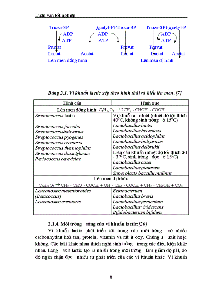 image for page Nghiên cứu tuyển chọn một số chủng loại vi khuẩn sinh axit lactic phục vụ sản xuất sữa chua có chất lượng cao từ dịch sữa đậu tương