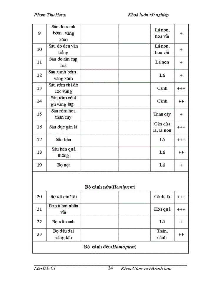 image for page Điều tra thành phần côn trùng trên cây vải thiều và nghiên cứu đặc điểm hình thái, sinh học, sinh thái của bọ rùa 18 chấm Harmonia sedecimnotata Fabr. tại Sóc Sơn Hà Nội và các vùng phụ cận năm 2005_2006