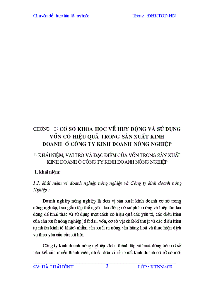 Một số giải pháp chủ yếu nhằm huy động và sử dụng vốn có hiệu quả trong sản xuất kinh doanh ở Công ty nông thổ sản I