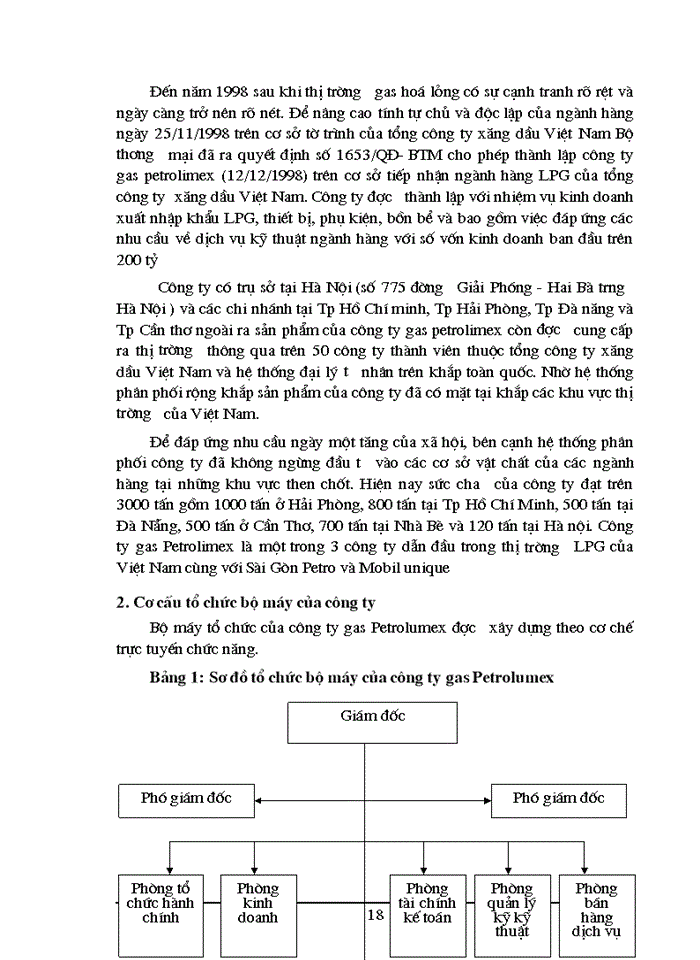 image for page Một số vấn đề về Hoạt động tiêu thụ sản phẩm của công ty Gas Petrolimex