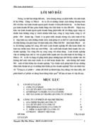 Công ty cổ phần tư nhân đã khởi sự thành lập, huy động vốn ban đầu, đã phát hành cổ phiếu và đang hoạt động hiệu quả