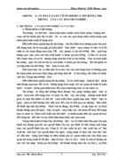 CƠ SỞ LÝ LUẬN VỀ ỔN ĐỊNH VÀ MỞ RỘNG THỊ TRƯỜNG CỦA CÁC DOANH NGHIỆP