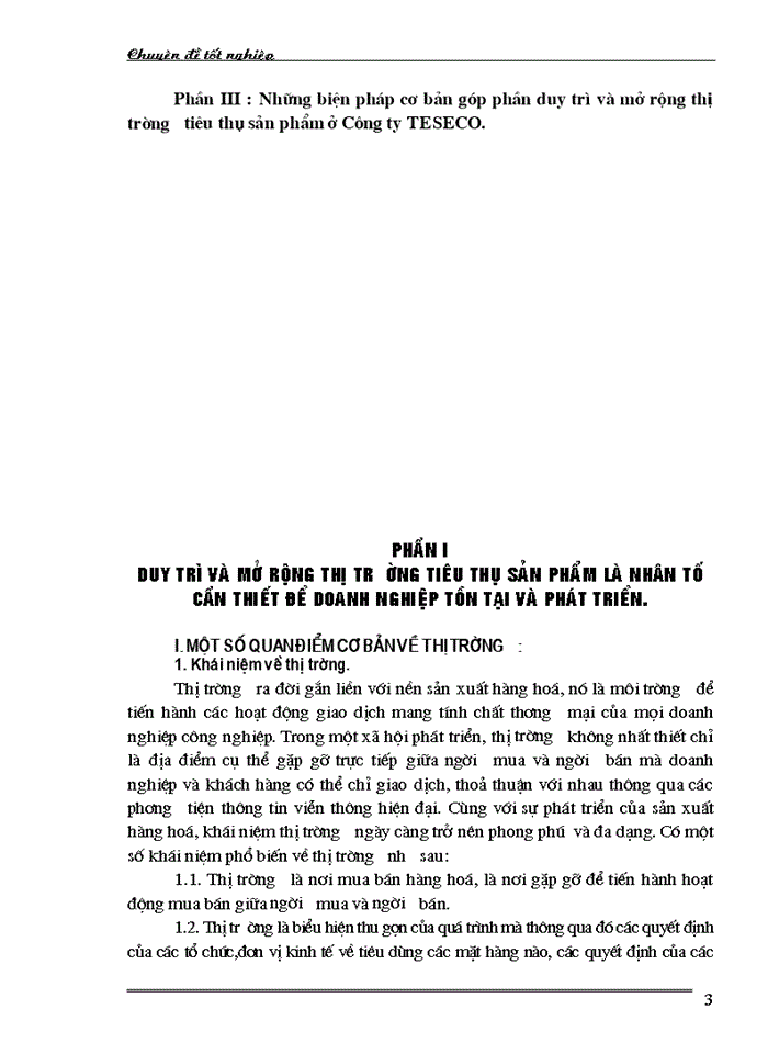 Những biện pháp cơ bản góp phần duy trì và mở rộng thị trường tiêu thụ sản phẩm ở Công ty TNHH TESECO