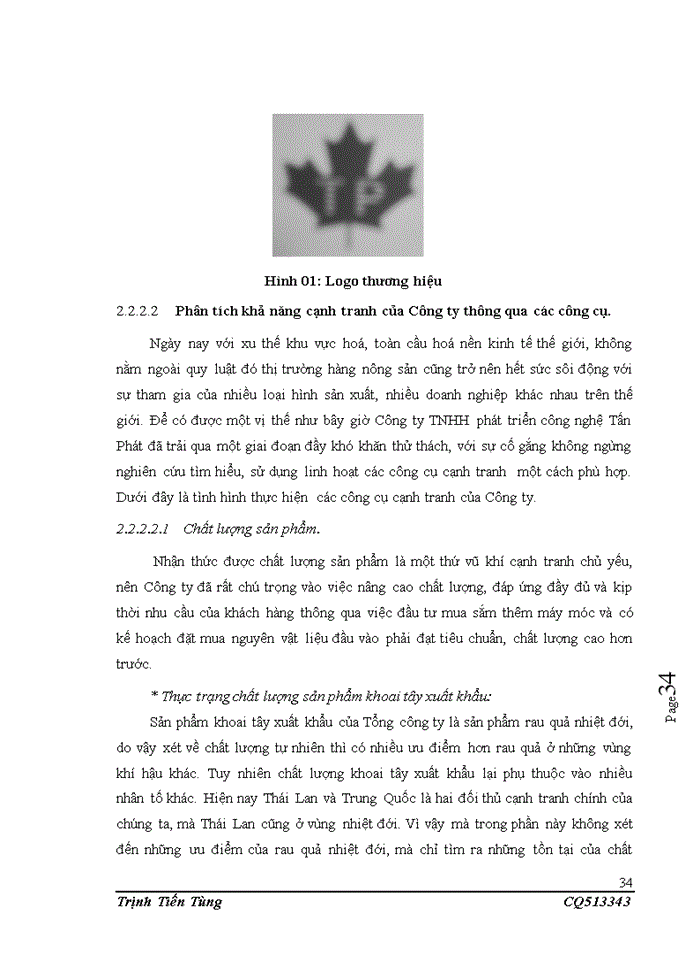 image for page Một số giải pháp nâng cao năng lực cạnh tranh của công ty TNHH phát triển công nghệ Tấn Phát