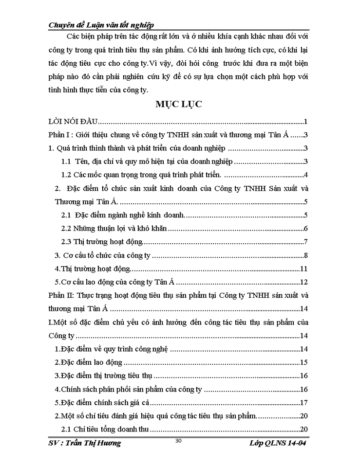 image for page Thực trạng và một số giải pháp nhằm đẩy mạnh hoạt động tiêu thụ sản phẩm tại Công ty TNHH sản xuất và thương mại Tân Á