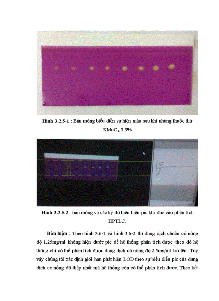 image for page Xây dựng phương pháp định lượng acid Shikimic trong Đại Hồi bằng sắc ký lớp mỏng kết hợp đo mật độ quang   (TLC-Scanning )