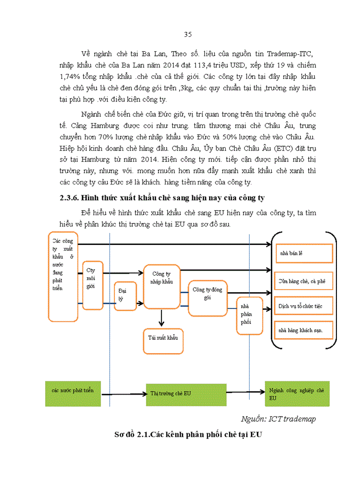 image for page Thực trạng hoạt động xuất khẩu chè sang thị trường EU của công ty TNHH sản xuất và kinh doanh thương mại TRƯỜNG HẢI