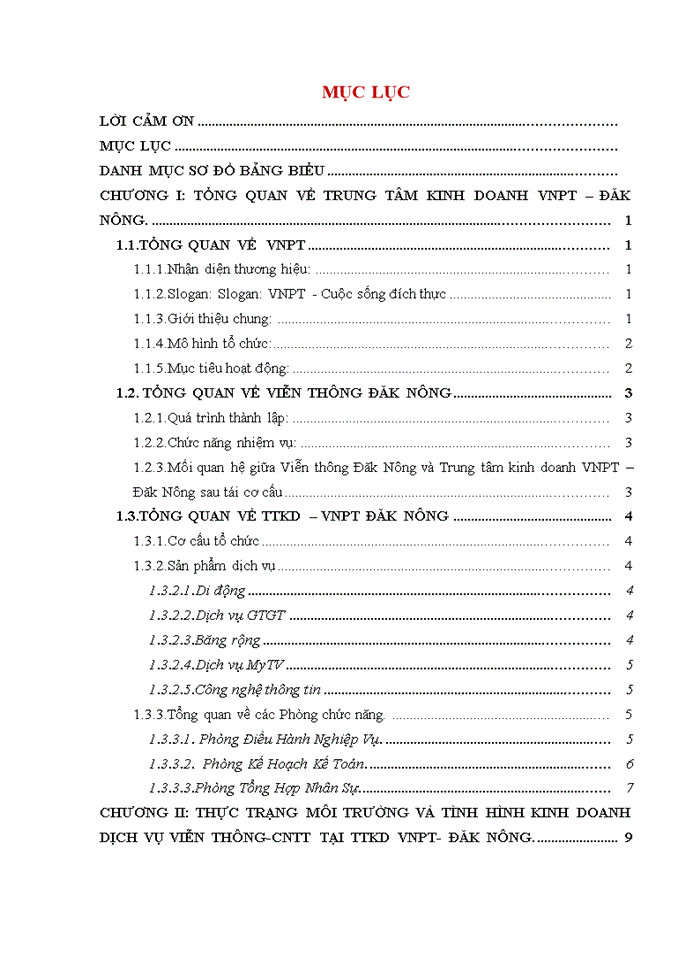 Thực trạng môi trường và tình hình kinh doanh dịch vụ viễn thông-CNTT tại TTKD VNPT- ĐĂK NÔNG
